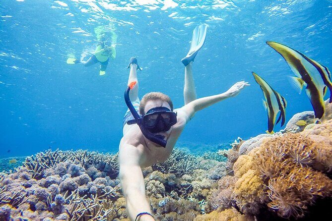 Snorkeling adventure to the manta ray habitat in Nusa Penida - Who will love this tour?