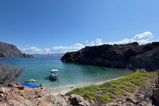 Snorkeling Adventure with Picnic from Villa del Palmar Hotel - Practical Considerations