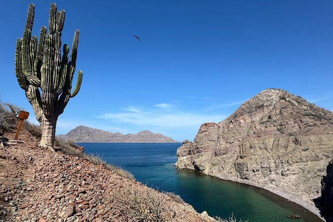 Snorkeling Adventure with Picnic from Villa del Palmar Hotel - Who Will Love This Tour?