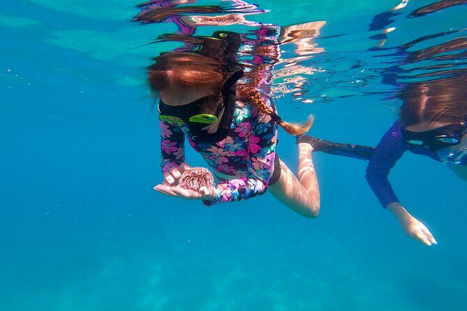 Snorkeling Aguadilla for Families with Children - Why This Tour Offers Great Value