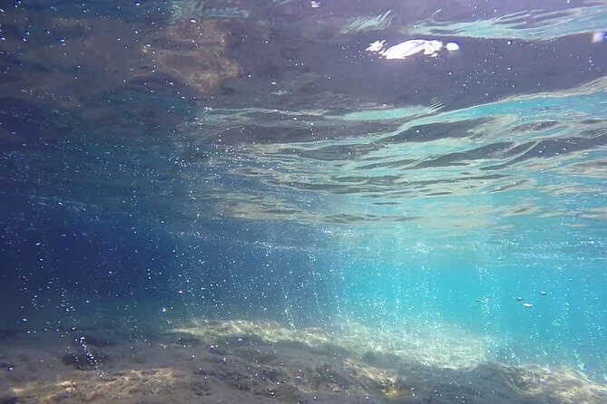 Snorkeling among the Underwater Caves of Ischia Ponte - Final Thoughts: Is This Tour Worth It?