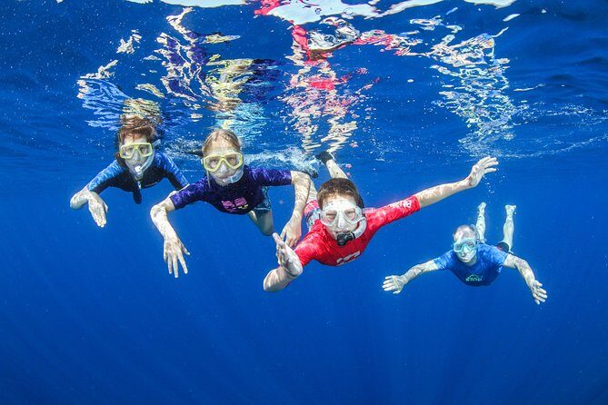 Snorkeling and Boat trip in Crete with free certification! - Discover Crete’s Marine Treasures with Confidence and Comfort