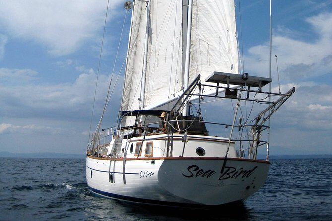 Snorkeling and Cruises - Discovering Costa Rica from the Water: Snorkeling and Cruises