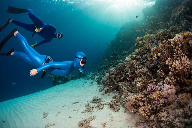 Snorkeling and Freediving Trip around Nusa Penida - Key Points