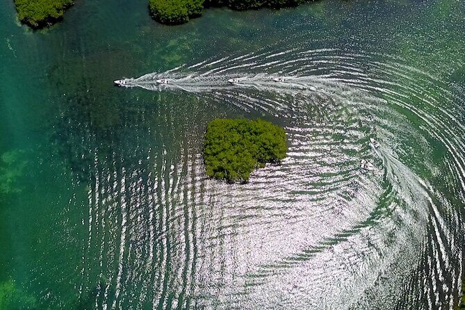 Snorkeling and Speed Boat Tour - The Sum Up