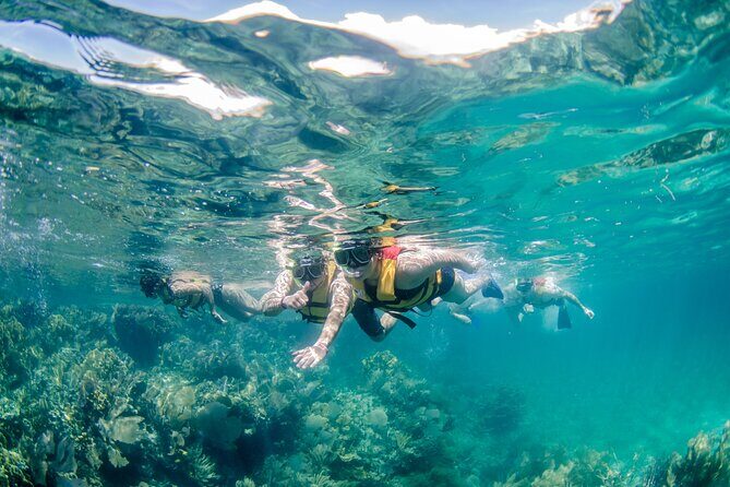 Snorkeling and Speed Boat Tour - FAQ