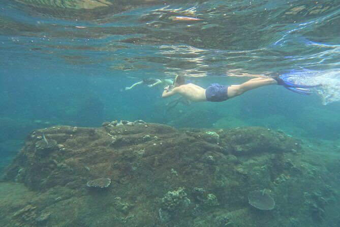 Snorkeling at Angel Rock - Key Points