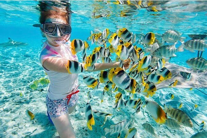 Snorkeling At Blue lagoon And Hidden waterfall - Experience Bali’s Natural Wonders with the Blue Lagoon & Hidden Waterfall Tour