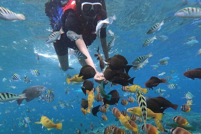 Snorkeling At Blue lagoon And Hidden waterfall - What to Expect from the Experience