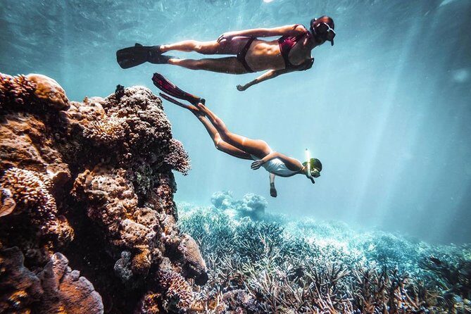 Snorkeling At Blue lagoon And Hidden waterfall - The Sum Up