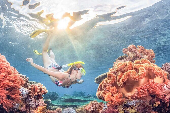 Snorkeling at Blue Lagoon Bali with Lunch and Transport - A Deep Dive into the Bali Blue Lagoon Snorkeling Tour