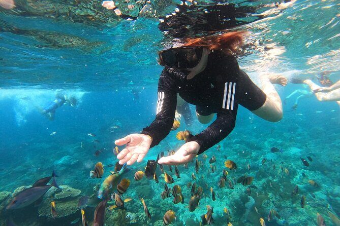 Snorkeling at Blue Lagoon & Tanjung Jepun All Inclusive - Who Will Love This Tour?