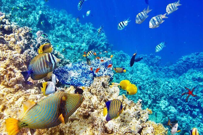 Snorkeling at Caño Island - The Itinerary in Detail