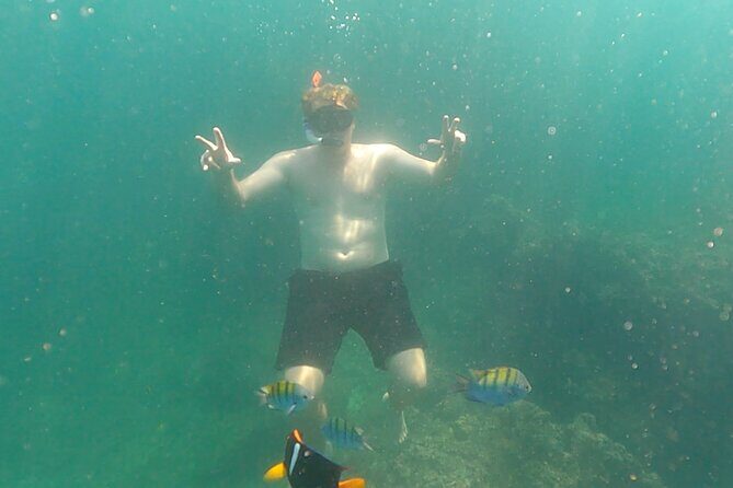 Snorkeling at Los Arcos 5 islands Hidden Beach and Cliff Jumping - Who Will Love This Tour?