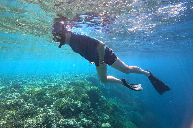 Snorkeling at Menjangan Island Bali Hidden Underwater Gem - Why Snorkeling at Menjangan Island Is a Must-Do in Bali