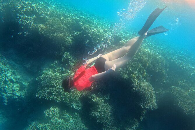 Snorkeling at Menjangan Island Bali Hidden Underwater Gem - Practical Details: What You Need to Know