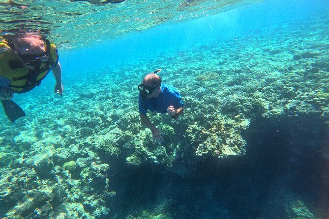 Snorkeling at Menjangan Island Bali Hidden Underwater Gem - Summary: Is This Tour Right for You?