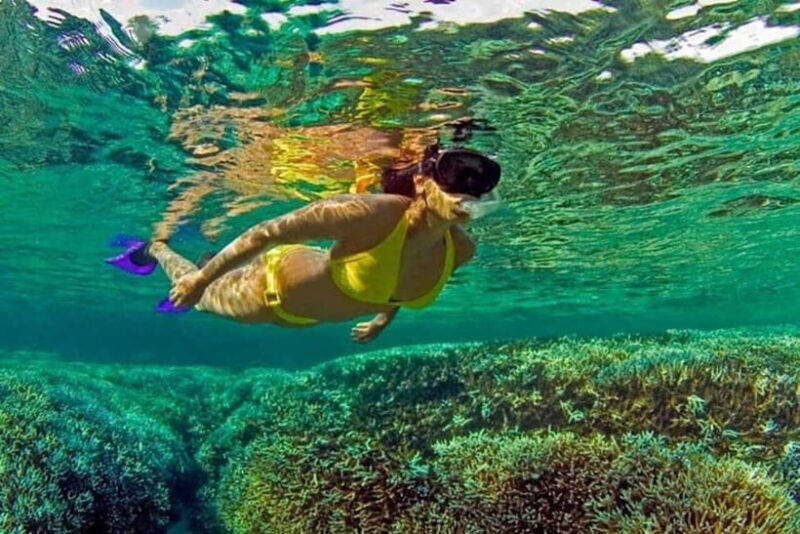 Snorkeling at Pigeon Island Trincomalee - Frequently Asked Questions