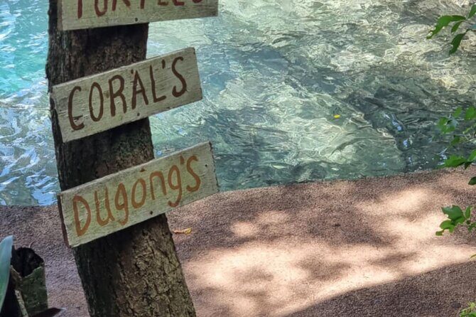 Snorkeling at Top Rock with Yumi Tours - A Closer Look at Snorkeling at Top Rock with Yumi Tours