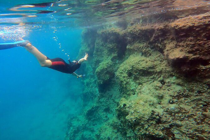 Snorkeling Boat Excursions in Nea Makri, Athens - Key Points