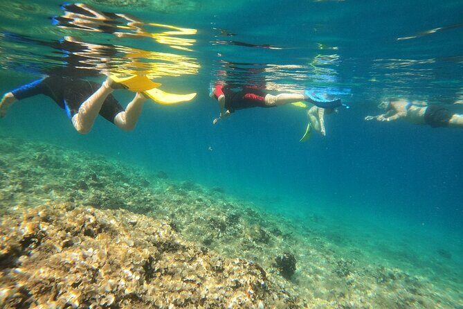 Snorkeling Boat Excursions in Nea Makri, Athens - Wrapping It Up: Who Is This Tour For?