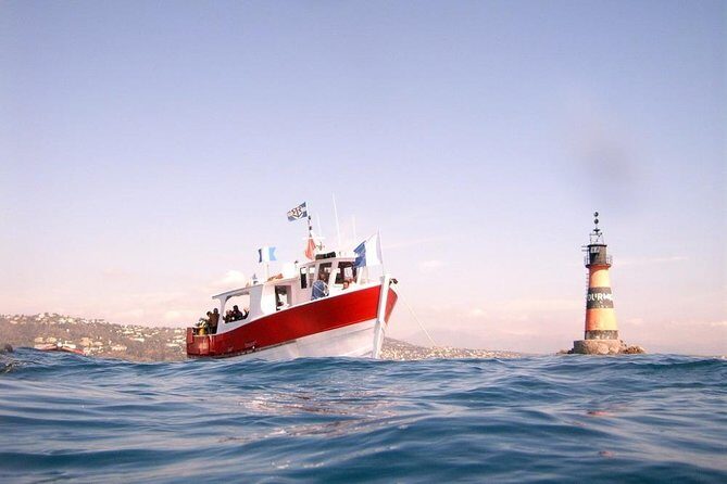 Snorkeling - By boat on site in the Bay of Cannes or Estérel - Frequently Asked Questions