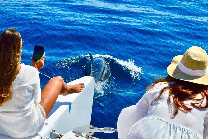 Snorkeling Catamaran Tour at Santa Maria Bay - Who Is This Tour Best For?