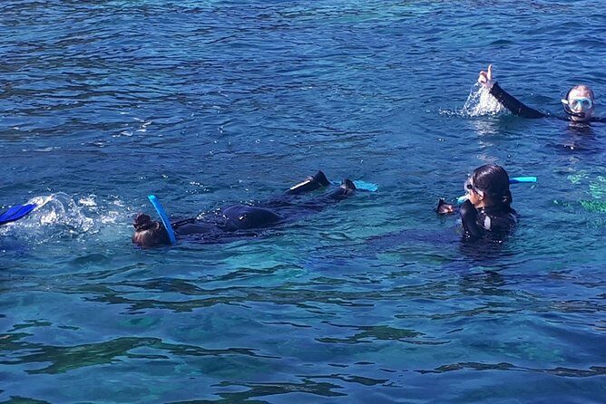Snorkeling - Frequently Asked Questions