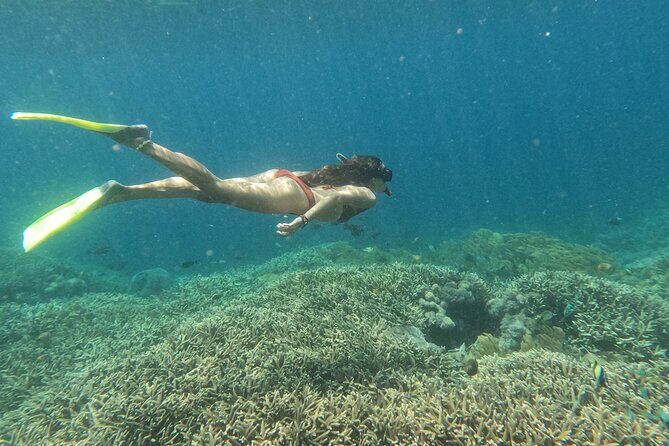 Snorkeling Day Trip to Nusa Lembongan and Nusa Penida - Key Points
