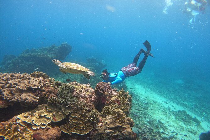 Snorkeling Day Trip to Nusa Lembongan and Nusa Penida - The Sum Up
