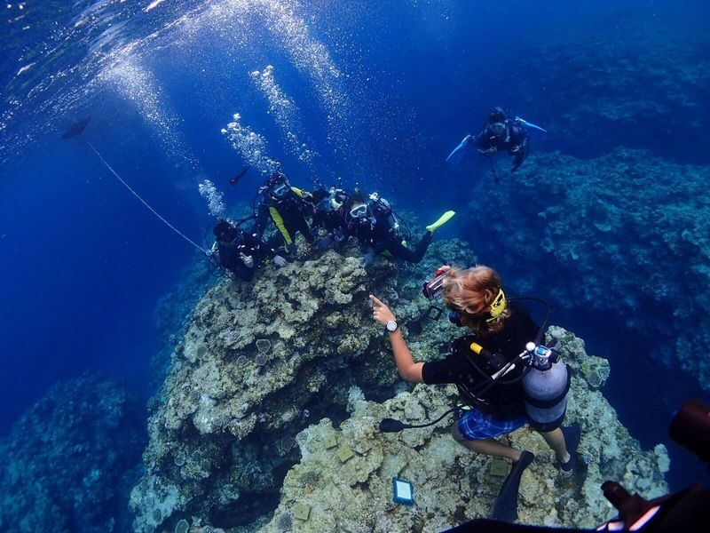 Snorkeling, Diving, & Fun Diving Experience in Kerama Islands - The second and possible third Kerama points