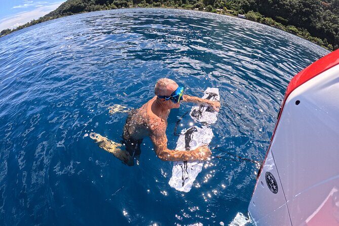 Snorkeling EN Subwing in Tahiti - The Experience in Detail: What to Expect from Tahiti’s Snorkeling EN Subwing Tour
