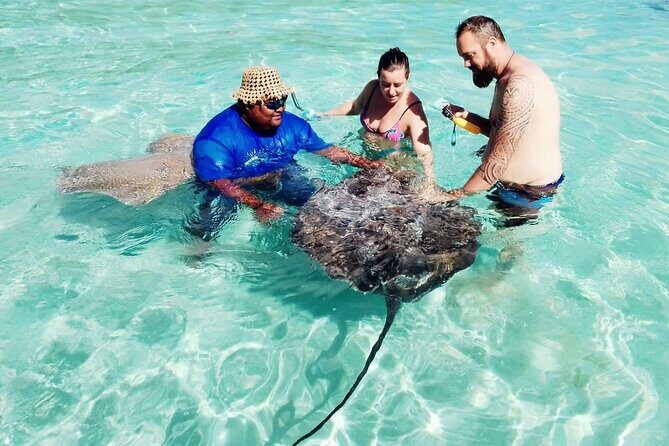 Snorkeling excursion and encounter with marine fauna in Moorea - A Deep Dive into the Moorea Marine Adventure