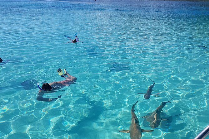 Snorkeling excursion, discovery of the lagoon, small group. - Who Is This Tour Best For?