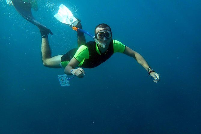 Snorkeling excursion in Isla de Tabarca - What Do Travelers Say?
