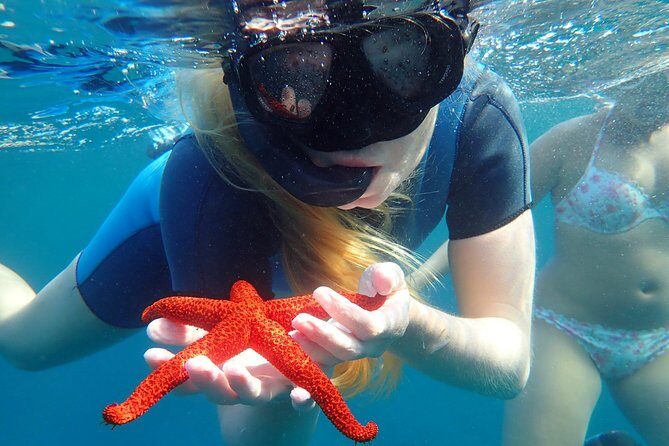 Snorkeling excursion in Isla de Tabarca - Final Word