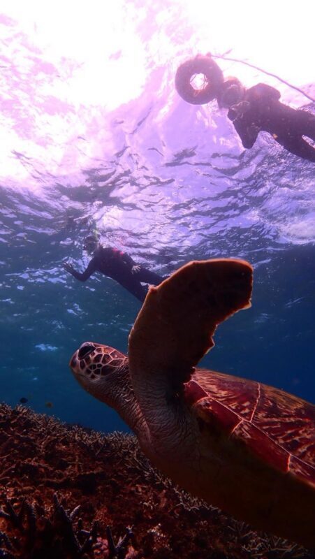 Snorkeling Experience in Miyako Island - A coral reef destination reached from Ikema Island