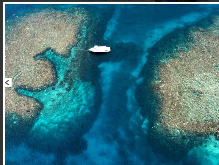 Snorkeling Experience in Miyako Island - What the snorkeling feels like