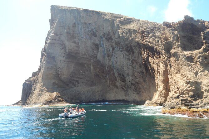 Snorkeling Experience in Terceira Island - Why This Tour Offers Good Value