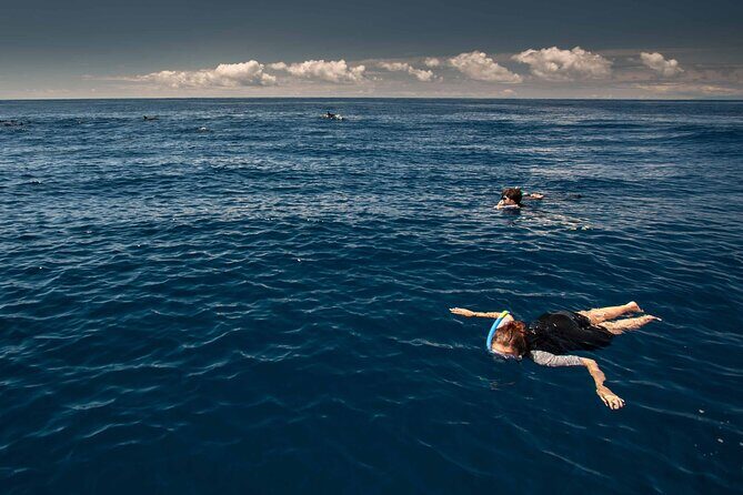 Snorkeling Experience in Terceira Island - FAQ