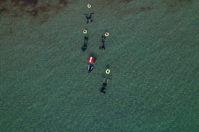 Snorkeling Experience on a NEMO Diving System - Who Will Love This Tour?