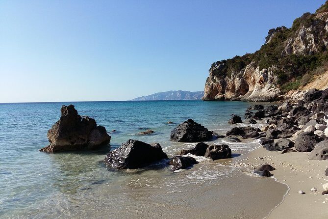 Snorkeling Experience to discover the dolphin inside you! - An In-Depth Look at the Sardinian Snorkeling Tour