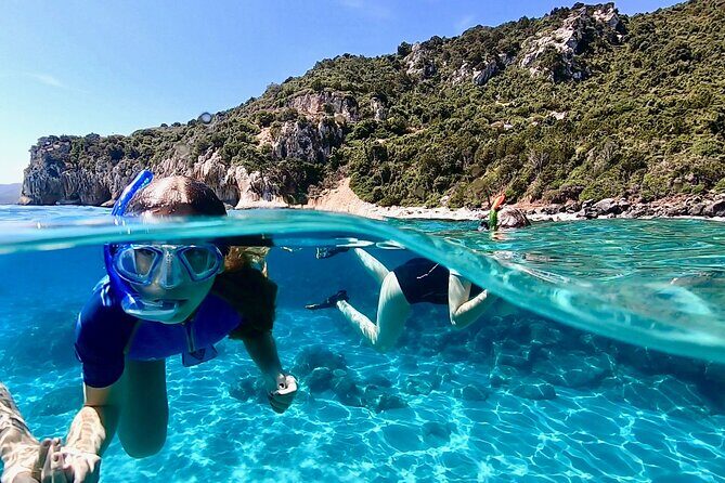 Snorkeling Experience to discover the dolphin inside you! - FAQs