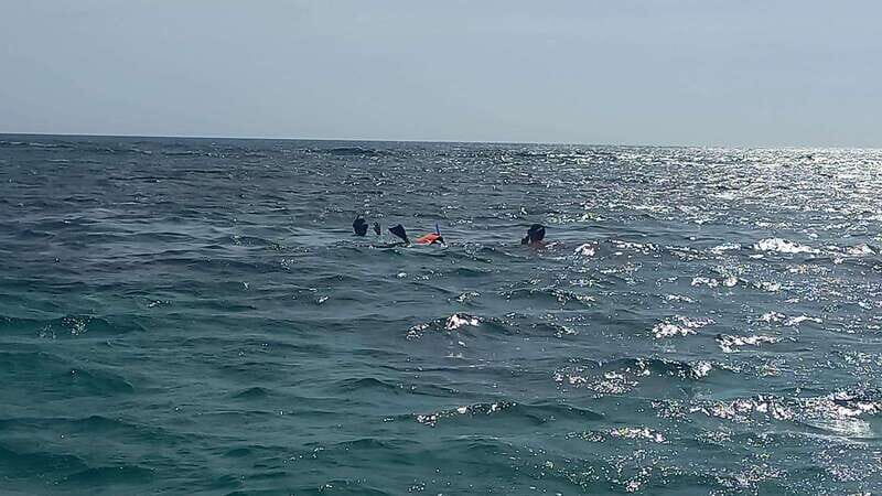 Snorkeling Express Puerto Morelos - The Sum Up: Is It Worth It?