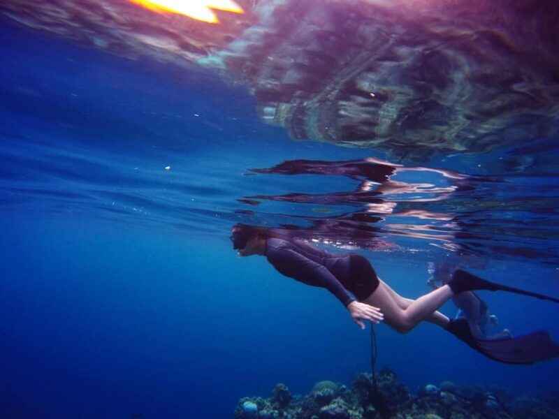 Snorkeling for beginners in crystal clear sea of Halkidiki - Who Will Enjoy This Tour Most?
