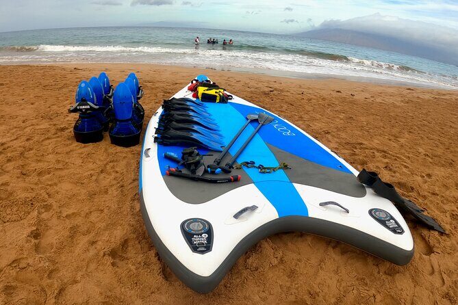Snorkeling for Non-Swimmers Guided Tour - Wailea Beach - The Details of the Experience