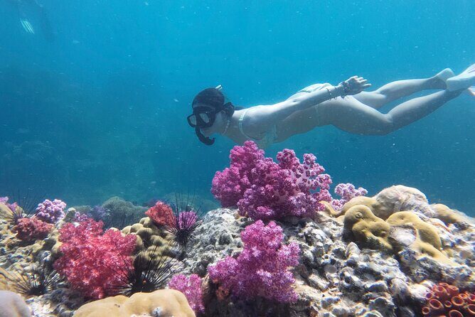 Snorkeling + Free Underwater Photos by Longtail Boat Koh Lipe A - Key Points