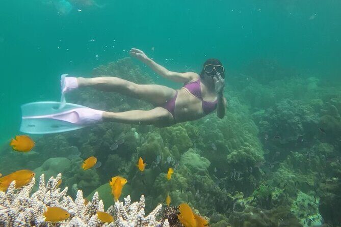 Snorkeling + Free Underwater Photos by Longtail Boat Koh Lipe A - Who Is This Tour Best For?