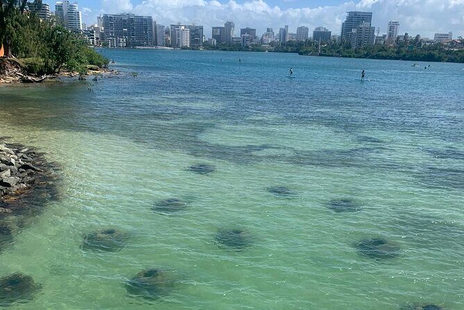Snorkeling Guided Tour Experience in Condado Lagoon - Snorkeling Guided Tour Experience in Condado Lagoon