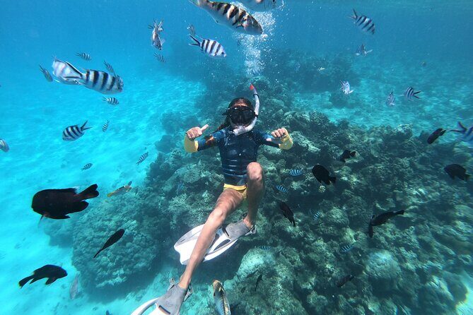 Snorkeling immersion in the wonders of Tahiti - Final Thoughts on Value